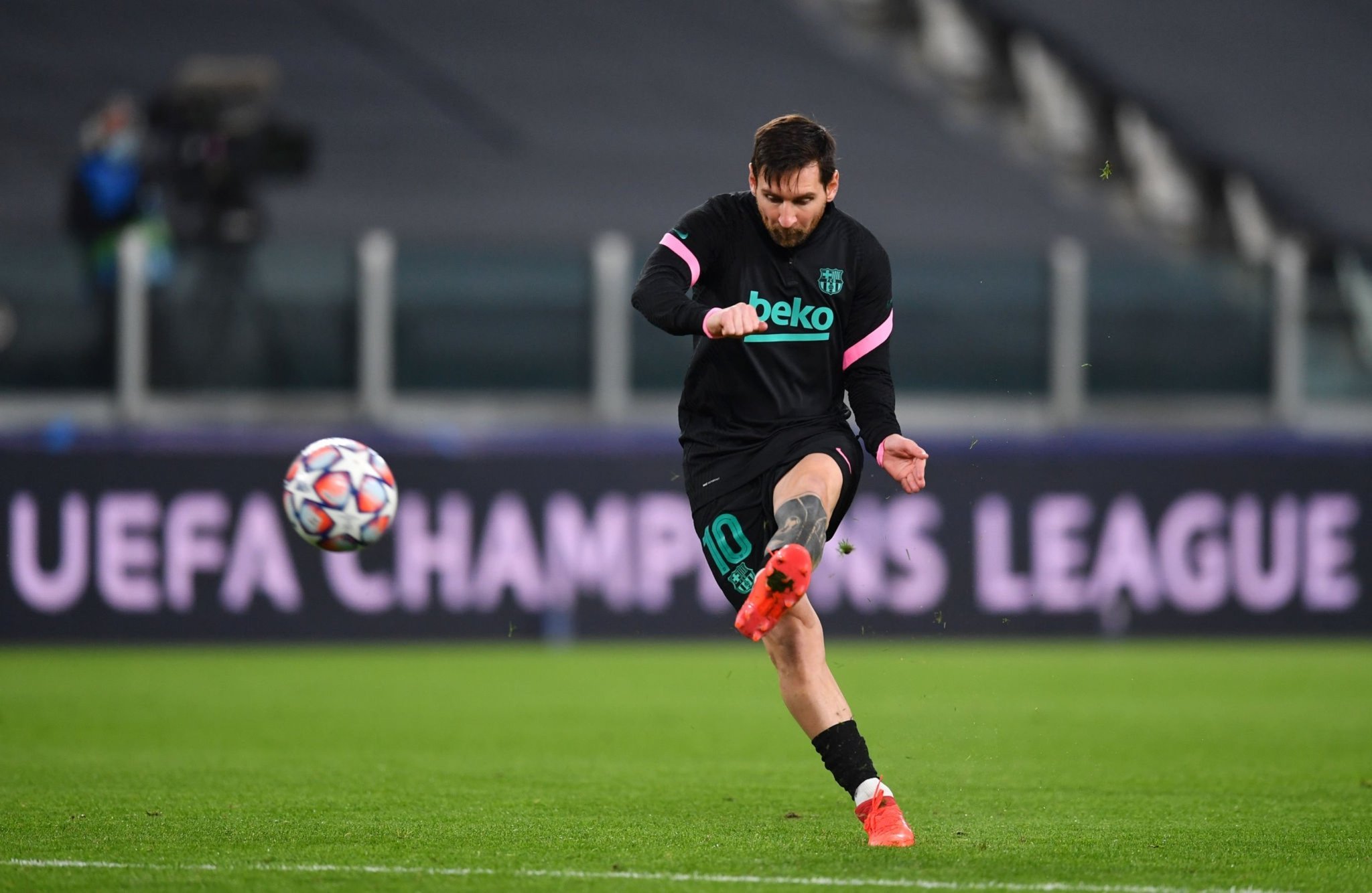 构建了相对 构建了相对